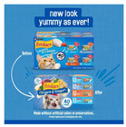 Purina Friskies Ocean Of Delight Gravy Wet Cat Food Variety Pack  5 5 Ozx40 Cans