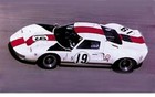  19 Skip Scott 1965-1966 Ford Gt 40 Essex Wire 1 64th Scale Waterslide Decals