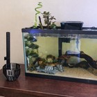 Aquarium Plant Holder With Stem Trellis For Live Plants   Over-the-rim Planter
