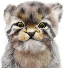 Hansa Pallas s Cat Kitten Plush Bh7299 Lifelike Companion Made In Philippines