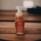 Bath   Body Works Foaming Hand Soap  Pumpkin Scents  you Choose Scent