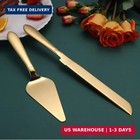 Eisinly Wedding Cake Cutting Set  Cake Knife And Server Set  2pcs Gold