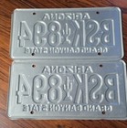 Vtg Pair Arizona License Plates Maroon Cactus Bsk 894 Matched Set Yom Dmv