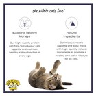 Grain-free High Protein Low Carb Chicken Dry Cat Food 2lb Bag