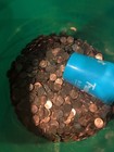 1 000 6lb 14oz  Copper Only  No Wheats - Unsearched Coinstar Cents pennies