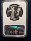 2015-w   100 Proof Platinum Eagle Ngc Pf70 Mercanti First Releases Ultra Cameo