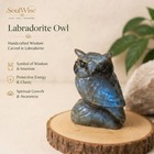 Hand Carved Labradorite Owl Statue Crystal Bird Figurine Home Decor Gift