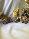 6 Vintage Owls  From The 70   s  80   s   90   s