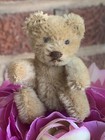 Vintage Miniature Steiff Mohair Teddy Baby Bear Caramel Mohair 3    No Id Sweet 