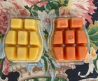 2 Scentsy Pk -wax Melts 3 2 Fl oz Bars Sugar Cookie   Rum Raisin Cookie