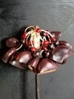Vintage Colombian Sonajero De Semillas Rattle Huayruro Handcrafted Seed Rattle    