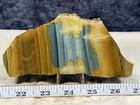Beautiful Old Stock Owyhee Succor Creek Picture Jasper Slab  Lot 207