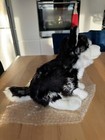 Ganz Webkinz Wks1049 Signature Siberian Husky Plush Only - No Code