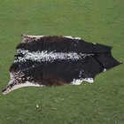 100  Real Natural Area Cow Hair On Cowhide Skin Floor Rug Carpet 69 x61   Cc1395