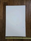 Mamma Mia Signed Cast Autographed 14x22 Window Card Broadway Poster