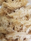 Sea Moss Irish Moss Whole Leaf 1lb   Raw Wildcrafted -16oz    