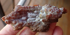 Botryoidal Fossil Coral Geode Fragment Ga Agate Amber Display Specimen Sea Wc28