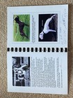 Rare Dog Book  reids Dynamic Dogs Album  By Reid Staffordshire Pit Bull Terrier