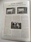 Alta Crest Farms Ayrshire Cattle-a New England Farm Rejuvenated - Reprint