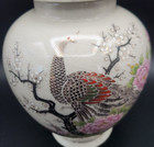 Artmark Peacock Flowers Peonies Ginger Jar Crackle Craquelure Glaze 7 5 In White