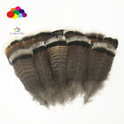 Wholesale Unique Wild Turkey Tail Feathers  3-12 Inches   8-30 Cm 10-100pcs