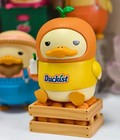 Duckoo Farm Series Blind Box Confirmed Figures Art Toys Cute Birthday Gift