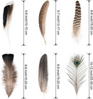 Natural Feathers Bulk - 55pcs - 6 Styles Assorted Natural Feathers  Peacock Feat