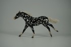 Breyer Stablemate Tsc Mystery Horse Surprise Series 6 Rare Chase B-sm-10074 New