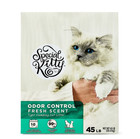  2 Pack  Special Kitty Clumping Clay Cat Litter  Fresh Scent  45 Lbs Box