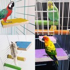 Hamiledyi 5 Pcs Parrot Perch Stand natural Wood Bird Medium  Colorful 