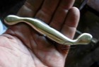 George Washington Revolutionary War Sword Replica 18th Century Historical
