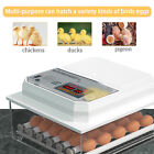2023 Incubator Automatic 36 Egg Chicken Chick Hatcher Incubators For Hatching