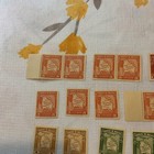 Bolivia-interesting Stamp Collection-what You See It What You Get-mh mnh 20 76