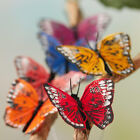 12 Assorted Jewel Color Mini Monarch Feather Artificial Butterflies