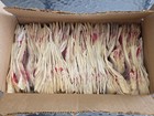 Vtg 1970s Duncan Yo-yo Replacement Strings Stapled 6 Pack 12 Strings Flambeau