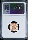 2024 S Us Mint 10-coin Proof Set Version Lincoln Cent Penny Ngc Pf70 Rd Fr