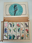 Souvenir Matchbox Set  18  parrots  Original Box