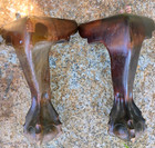 4 Antique Carved Mahogany Ball Claw Feet Legs Furniture Parts