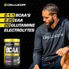 Cellucor Bcaa Sport     Hydration   Recovery  Cherry Limeade  30 Servings  10 2025