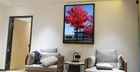 Medog 11x17 Picture Frame For Wall Black  Display Pictures 11x17 Poster Frame   
