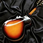 Zuwei Byrdland Hollow Electric Guitar 596mm Spruce Top Bone Nut Vintage Sunburst