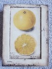 T-371 Sid Dickens Citron Lemons Retired Memory Block Wall Tile T371 New In Box