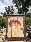 Vintage Large Coors Brewery Wood Barn Board Plank Beer Bar Sign Victorian Woman