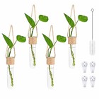  Plant Propagation Hanging Glass Planter Terrarium Wall Mounted Decorative 