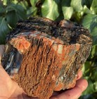       rr        Top Quality Druzy Agate Fossil Wood  Ne Az  2 5 Lb     