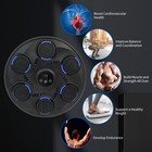 Music Boxing Machine  Smart Bluetooth Wall Boxing Punching Pad 9 Modes W gloves