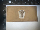 Us Army Patch  Medical Corp Personnel  Ww1 Embroid  On Twill Original