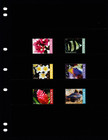  450 00 Scott Value - 2022 Grenada Fish Flowers Definitives Cv Mnh Nh Umm