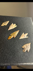 Neolithic Arrowheads 5 Higher Grade Points Excellent Material 1 9 16    Longest