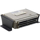 Ecm Ecu Pcm Engine Computer Mount Bracket Ls1 Ls2 Ls3 Lsx 5 3 6 0 4 8 6 2
